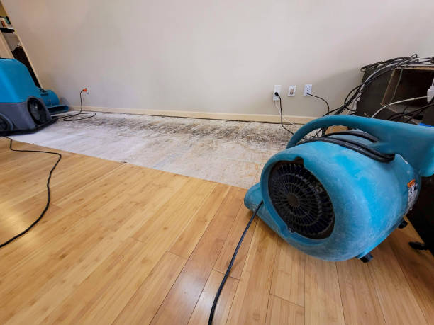 Professional Sewage Cleanup technician working in Greenfield, MO